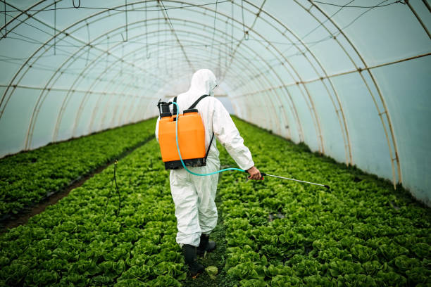 Professional Pest Control in Vilonia, AR