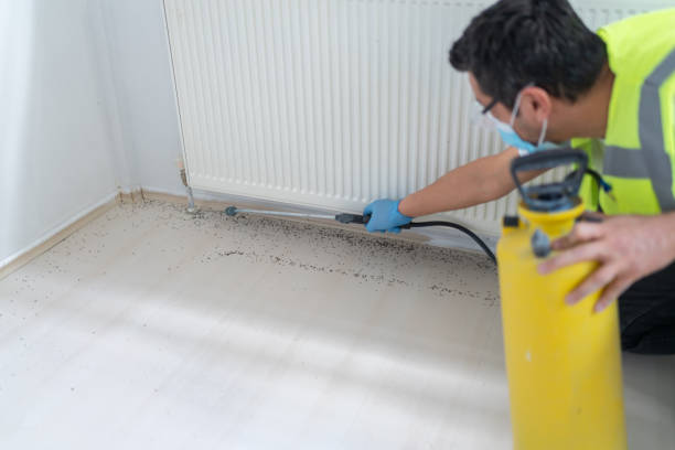Best Best Pest Control Companies  in Vilonia, AR