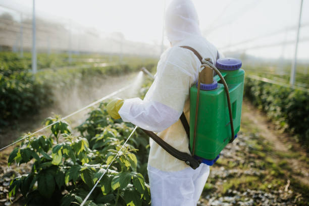 Best Pest Removal Services  in Vilonia, AR